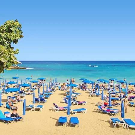 Appartement Gabriela - Coralli Beachfront *